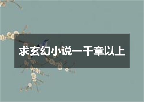 求玄幻小说一千章以上