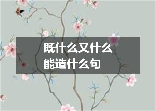 既什么又什么能造什么句