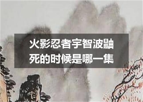 火影忍者宇智波鼬死的时候是哪一集