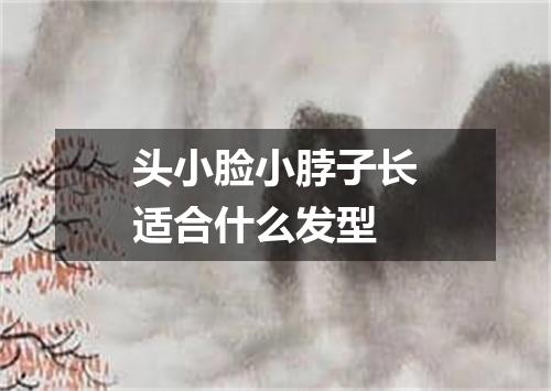 头小脸小脖子长适合什么发型