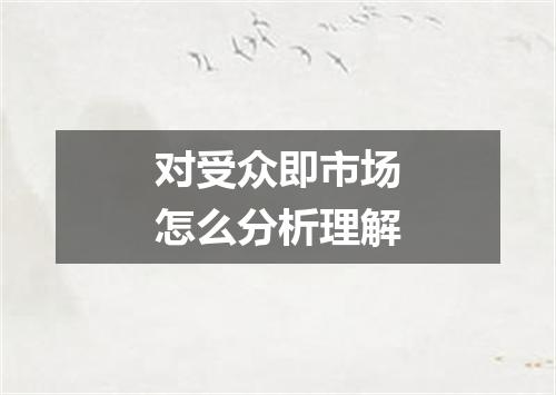 对受众即市场怎么分析理解
