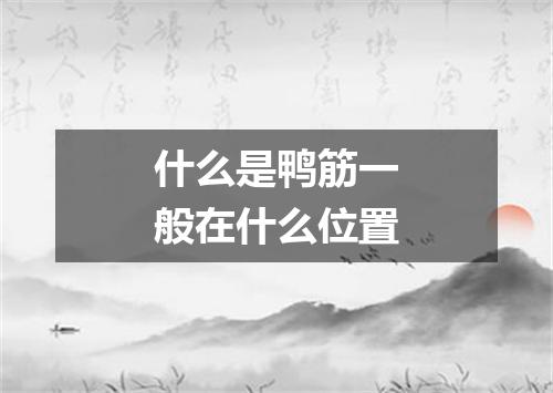 什么是鸭筋一般在什么位置