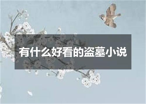 有什么好看的盗墓小说