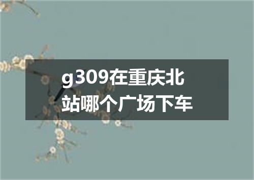 g309在重庆北站哪个广场下车