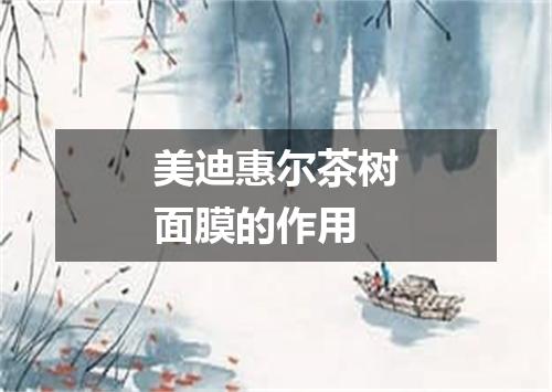 美迪惠尔茶树面膜的作用