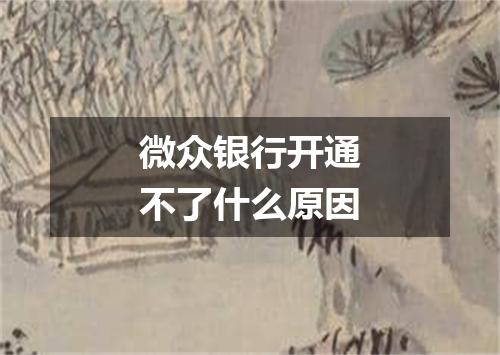 微众银行开通不了什么原因