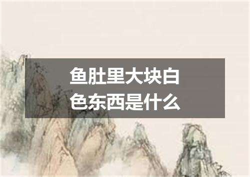 鱼肚里大块白色东西是什么