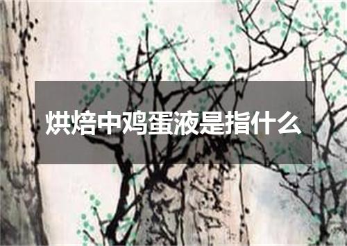 烘焙中鸡蛋液是指什么