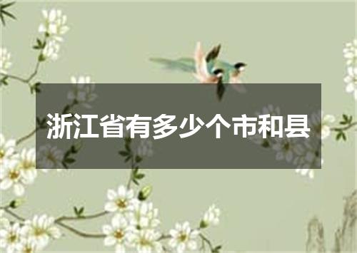 浙江省有多少个市和县