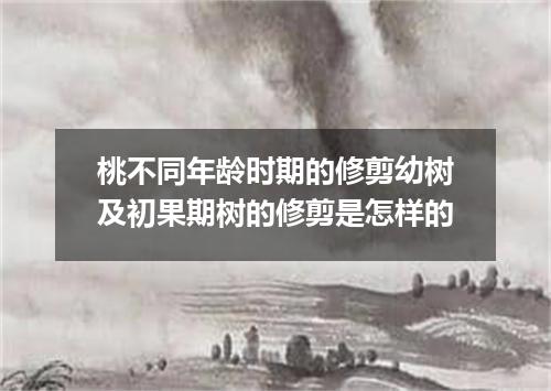 桃不同年龄时期的修剪幼树及初果期树的修剪是怎样的