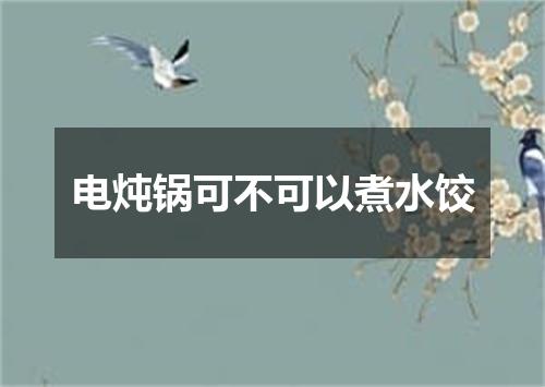 电炖锅可不可以煮水饺