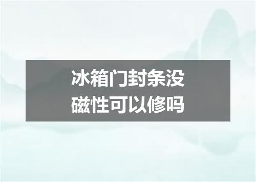 冰箱门封条没磁性可以修吗