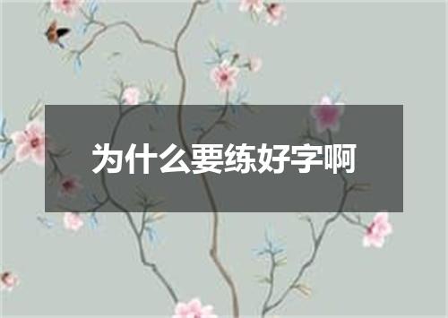 为什么要练好字啊