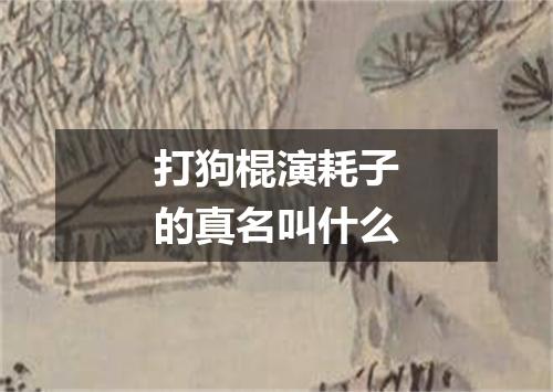 打狗棍演耗子的真名叫什么