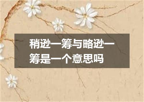 稍逊一筹与略逊一筹是一个意思吗