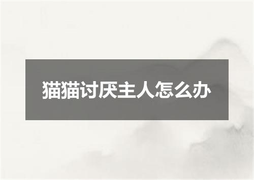 猫猫讨厌主人怎么办