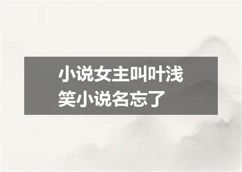 小说女主叫叶浅笑小说名忘了
