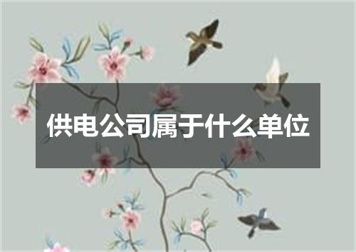 供电公司属于什么单位