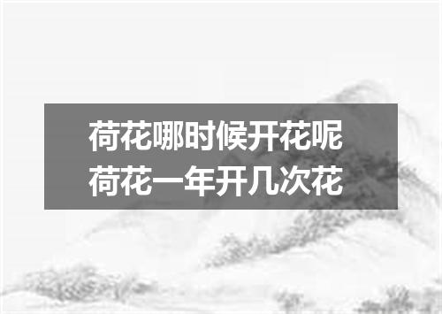 荷花哪时候开花呢 荷花一年开几次花