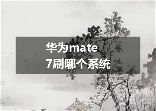 华为mate7刷哪个系统