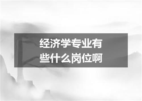 经济学专业有些什么岗位啊
