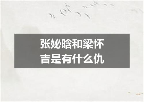 张妼晗和梁怀吉是有什么仇