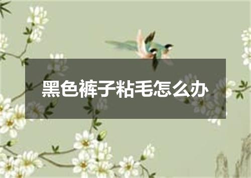 黑色裤子粘毛怎么办