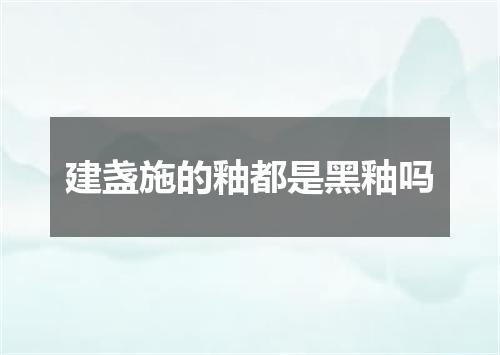 建盏施的釉都是黑釉吗