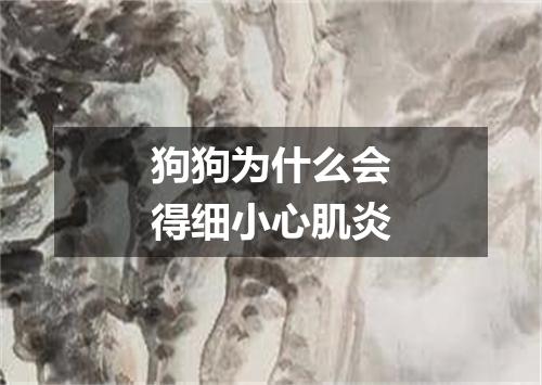 狗狗为什么会得细小心肌炎