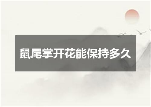鼠尾掌开花能保持多久