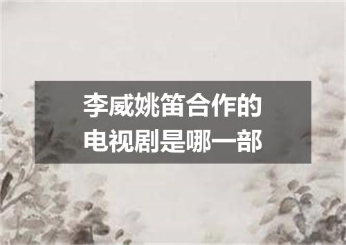 李威姚笛合作的电视剧是哪一部