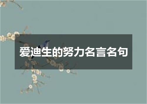 爱迪生的努力名言名句