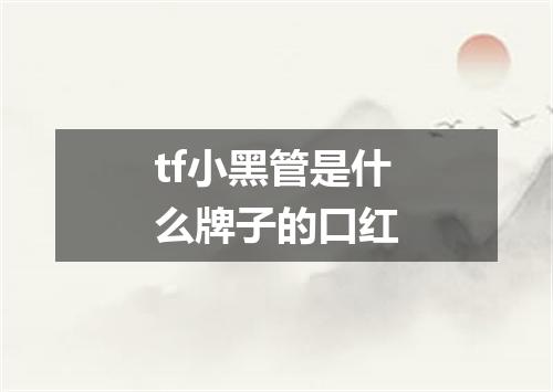 tf小黑管是什么牌子的口红