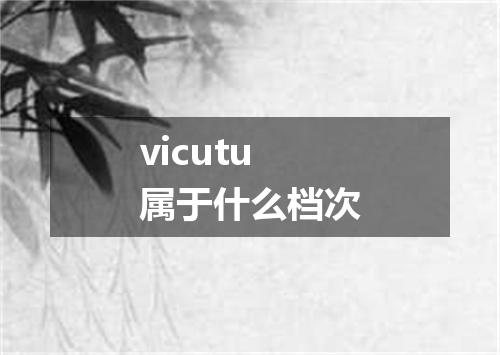 vicutu属于什么档次
