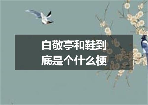 白敬亭和鞋到底是个什么梗