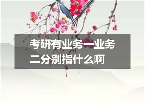 考研有业务一业务二分别指什么啊