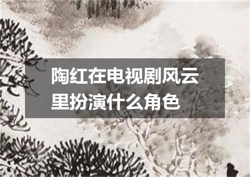 陶红在电视剧风云里扮演什么角色