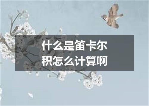 什么是笛卡尔积怎么计算啊