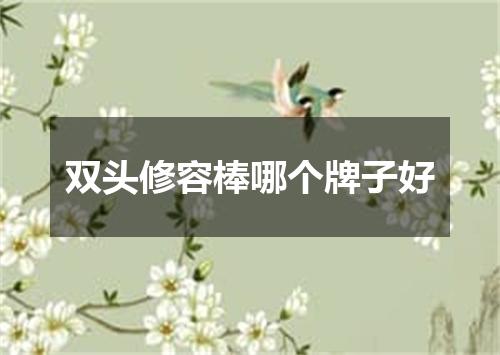 双头修容棒哪个牌子好