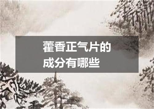 藿香正气片的成分有哪些