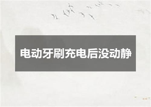 电动牙刷充电后没动静