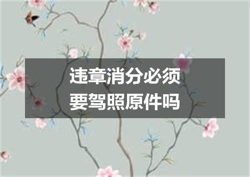 违章消分必须要驾照原件吗