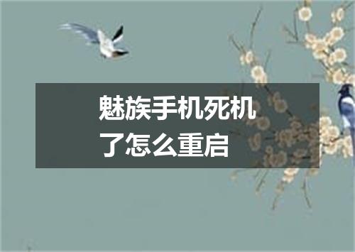 魅族手机死机了怎么重启