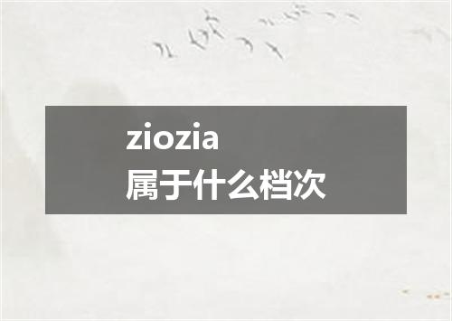 ziozia属于什么档次