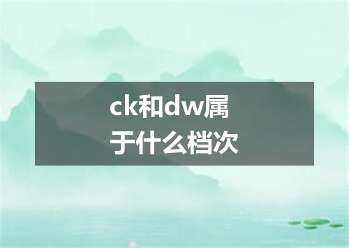 ck和dw属于什么档次