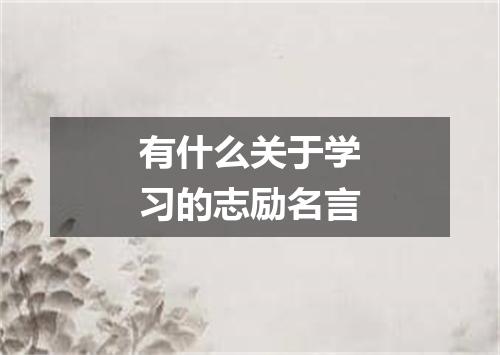 有什么关于学习的志励名言