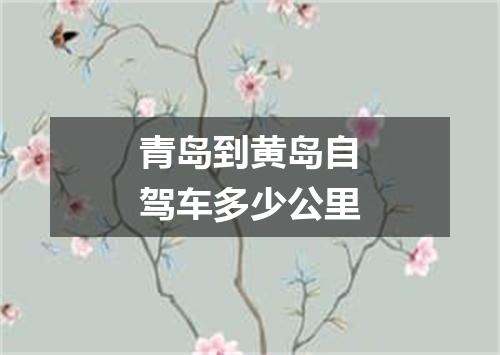 青岛到黄岛自驾车多少公里