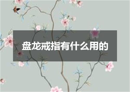 盘龙戒指有什么用的