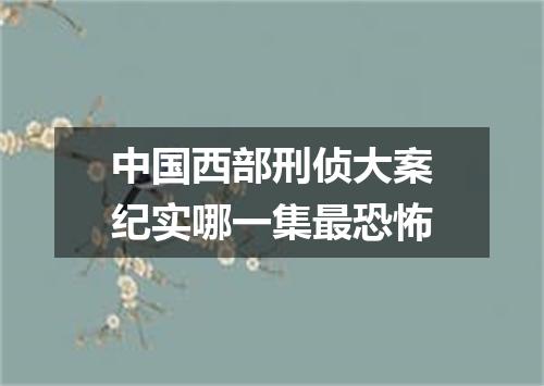 中国西部刑侦大案纪实哪一集最恐怖