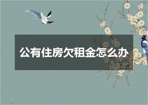 公有住房欠租金怎么办